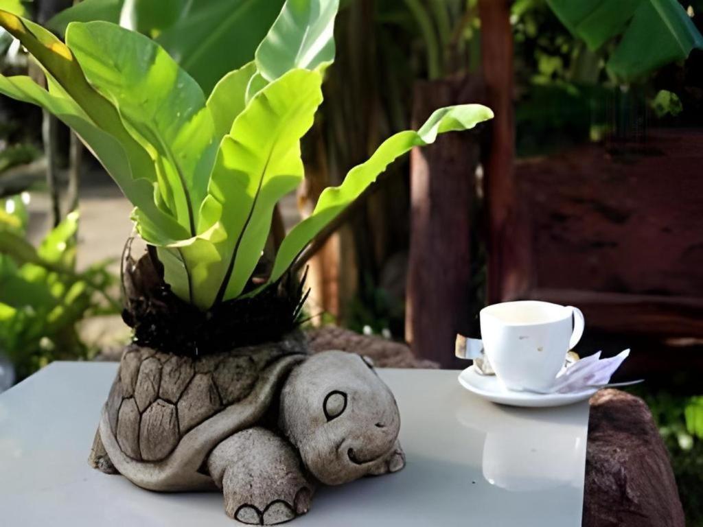 Tanisa Resort Chumphon Ngoại thất bức ảnh